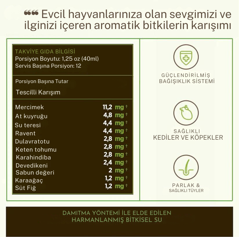 Köpek Detoksu 480ml
