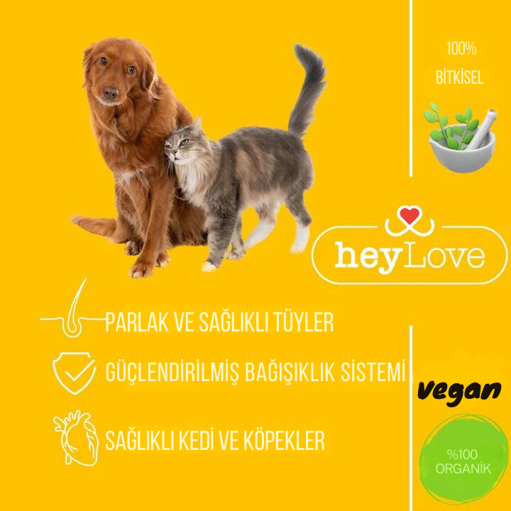 Kedi Detoksu 250ml