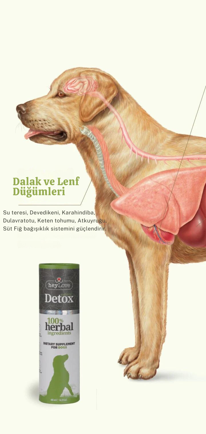 Köpek Detoksu 480ml