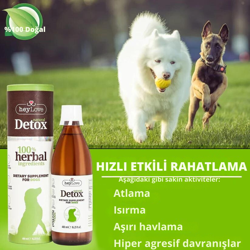 Köpek Detoksu 480ml