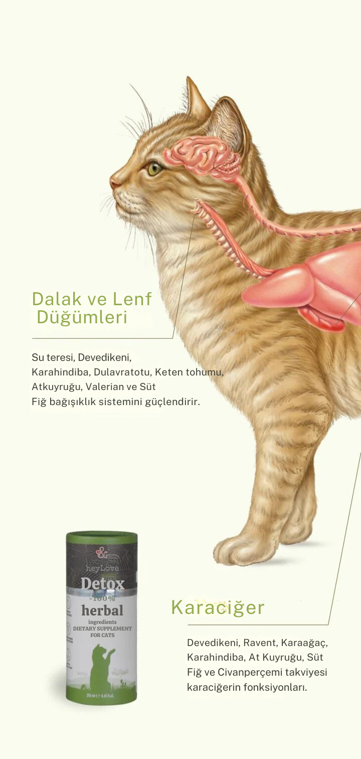 Kedi Detoksu 250ml