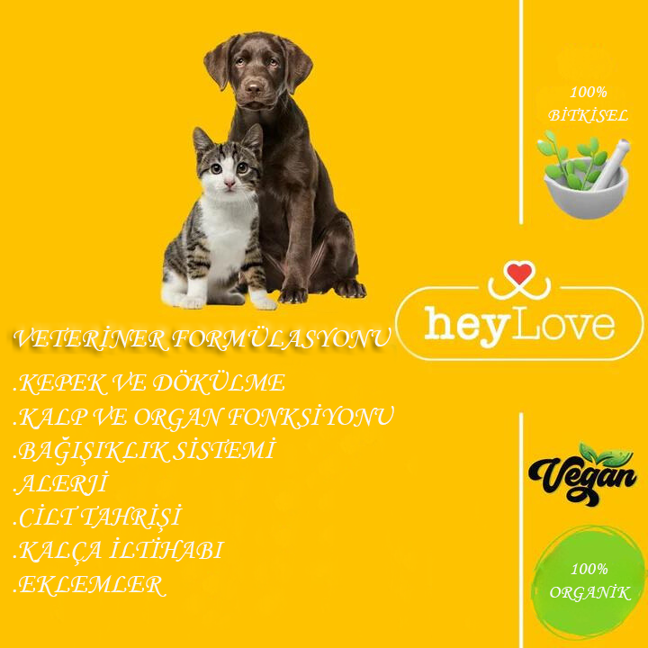 Köpek Detoksu 480ml